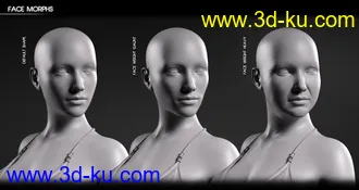 3D打印模型Body Diversity Morphs for Genesis 8 Female(s)的图片