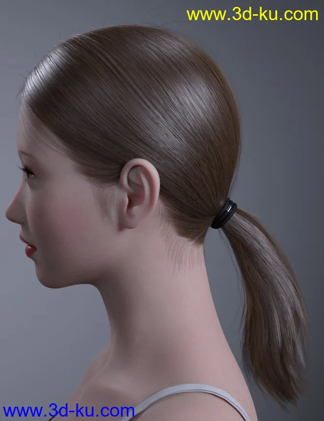 HY Ponytail LowBun Hair for Genesis 3 and 8 Female(s)模型的图片3