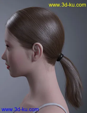 3D打印模型HY Ponytail LowBun Hair for Genesis 3 and 8 Female(s)的图片