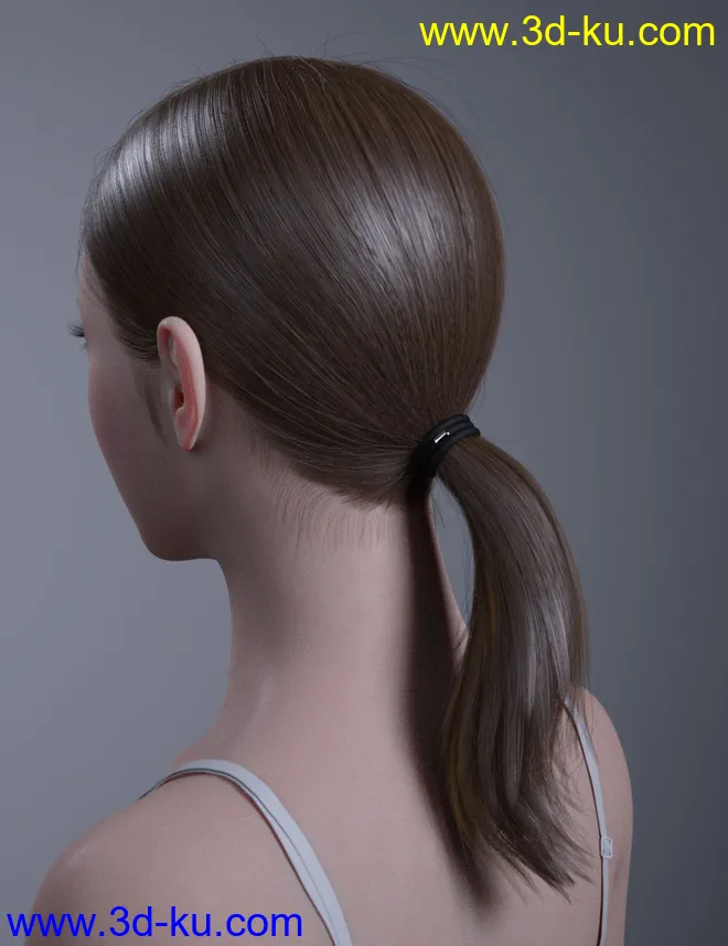 HY Ponytail LowBun Hair for Genesis 3 and 8 Female(s)模型的图片4