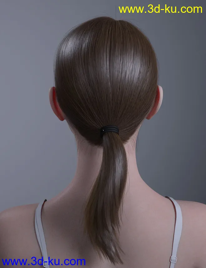 HY Ponytail LowBun Hair for Genesis 3 and 8 Female(s)模型的图片5