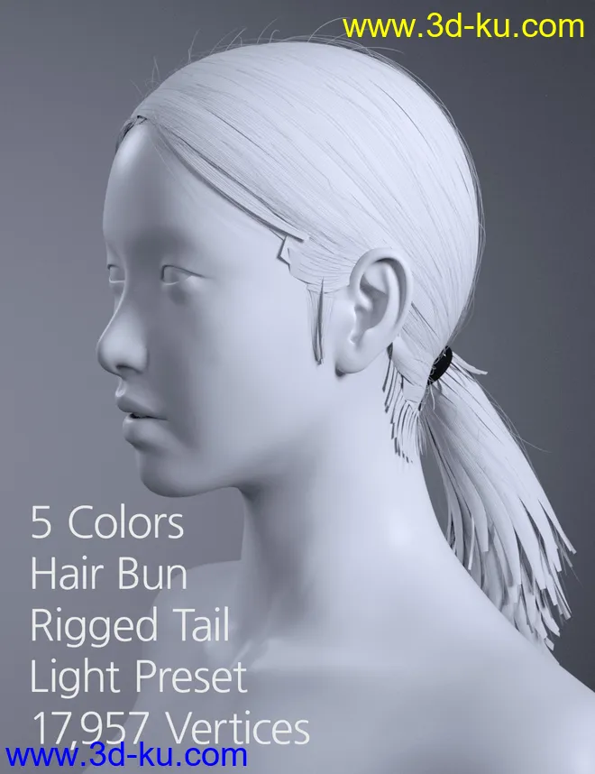 HY Ponytail LowBun Hair for Genesis 3 and 8 Female(s)模型的图片9