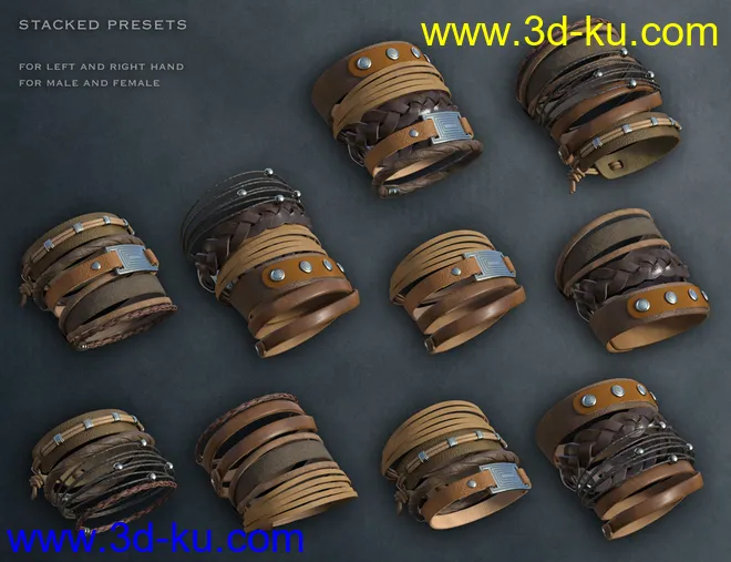 Leather Bracelets for Genesis 8 Male(s) & Female(s)模型的图片10