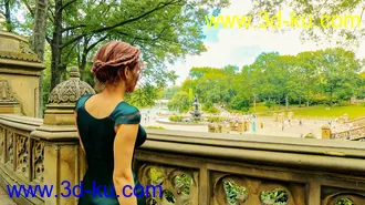 MEC4D HDRI Central Park NYC - Megapack模型的图片7