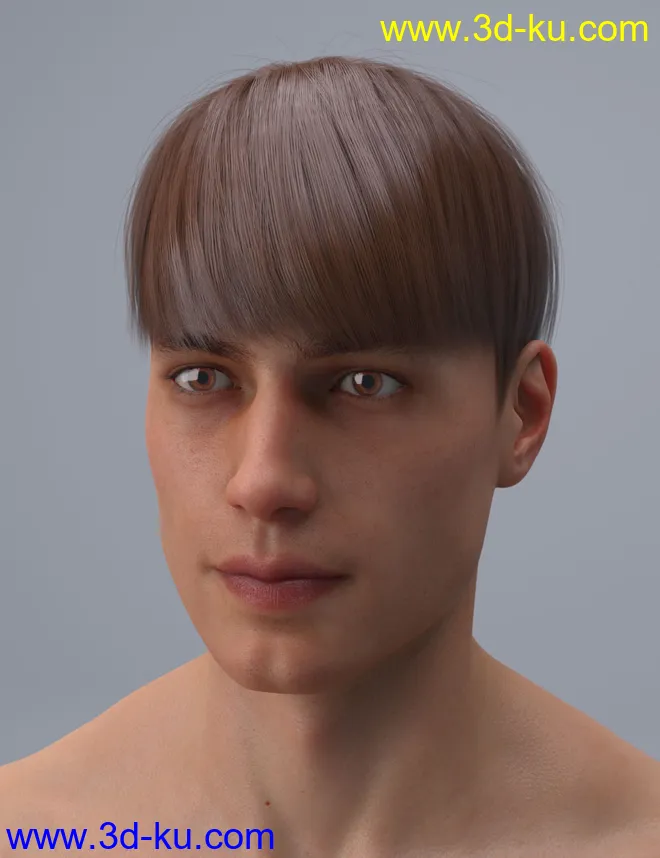 HY Short Hair for Genesis 3 and 8模型的图片2