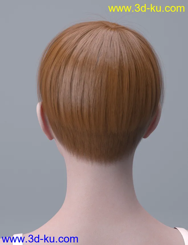 HY Short Hair for Genesis 3 and 8模型的图片5