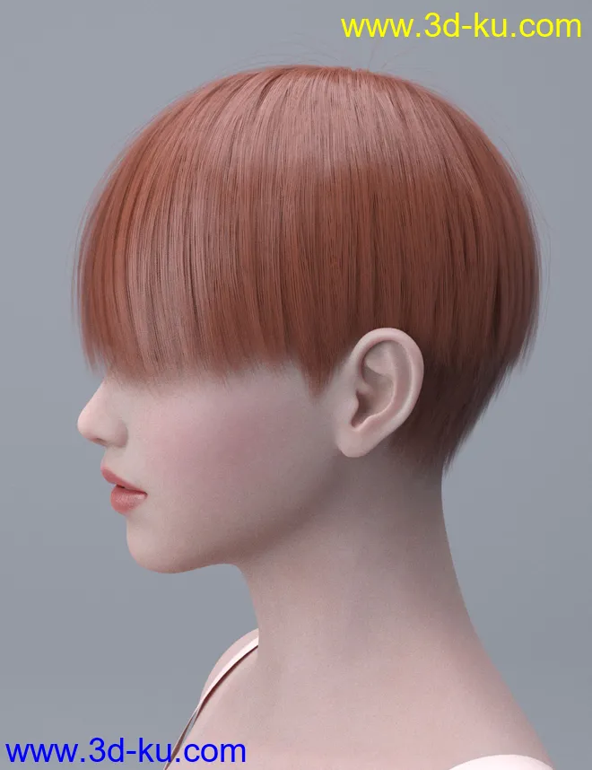 HY Short Hair for Genesis 3 and 8模型的图片6