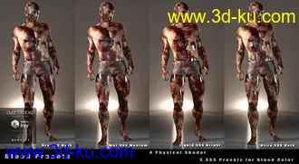 3D打印模型Ultimate Blood 'n Dirt for Genesis 3 Male(s)的图片