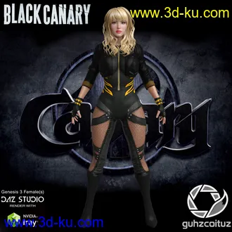 3D打印模型Black Canary Suit for Genesis 3 Female的图片