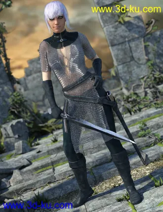 3D打印模型Fantasy Fighter for Genesis 8 Female(s)的图片