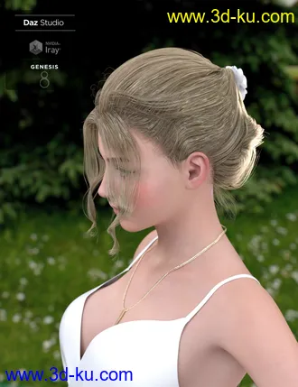 3D打印模型Ellya Classic Updo for Genesis 8 Female(s)的图片