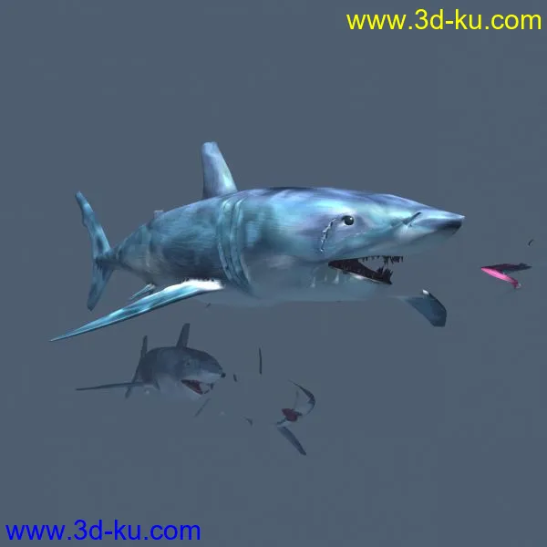 鲨鱼，有贴图3DS模型的图片1