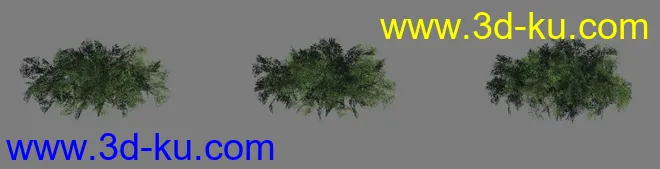 [精品]灌木_3级LOD模型_diffus+specular+normal+detail纹理的图片3