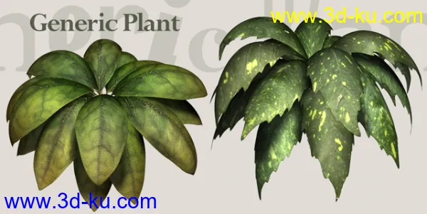 必须是精而简的实用植物模型的图片3