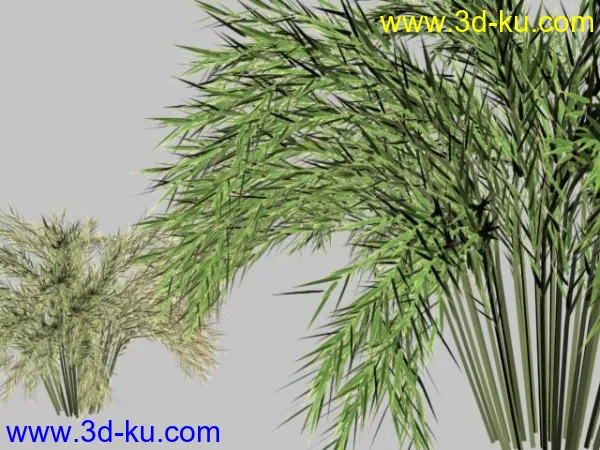 必须是精而简的实用植物模型的图片7