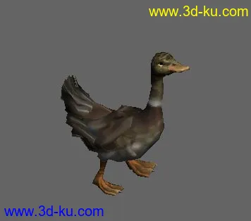 一只带动画的鸭子模型的图片1