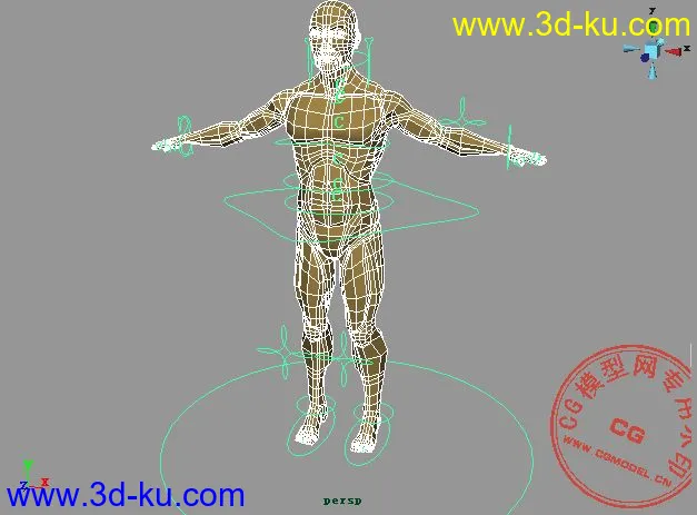IK-人体模型的图片3
