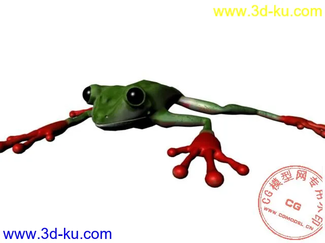 1青蛙模型的图片2