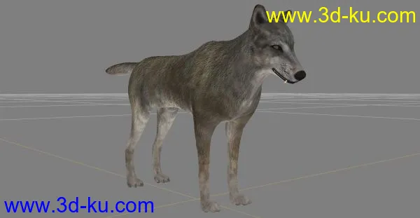 狼模型的图片1