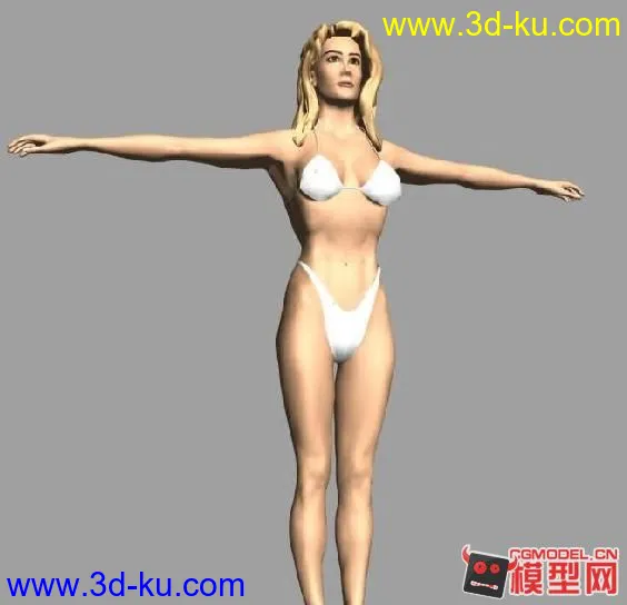 细致女人体模型的图片2