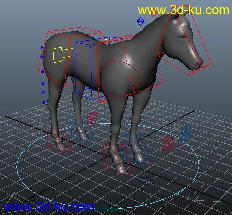 动物练习模型——马。很好的绑定。的图片1