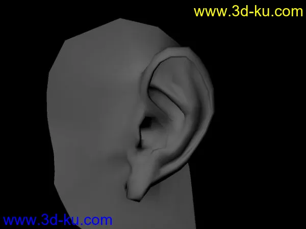 自製耳朵模型的图片2