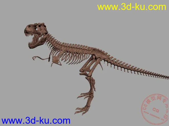 4个恐龙骨架模型max（山东龙 永川龙 青岛龙 霸王龙） 仅一个包的图片3