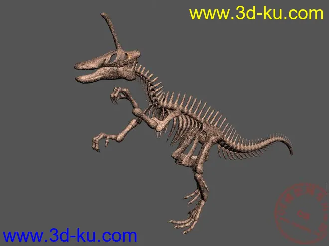 4个恐龙骨架模型max（山东龙 永川龙 青岛龙 霸王龙） 仅一个包的图片4