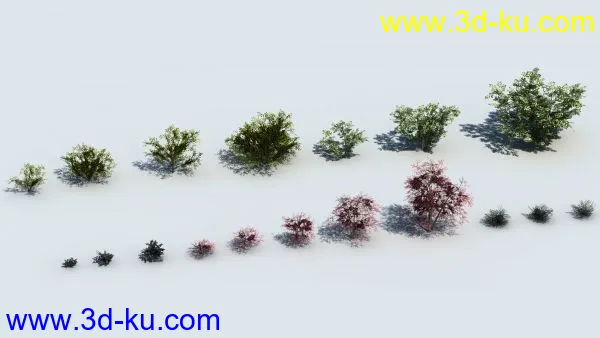 c4d精简植物模型的图片3