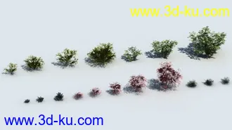 3D打印模型c4d精简植物的图片