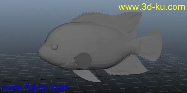 热带鱼模型的图片1