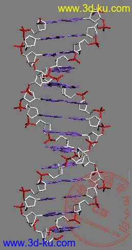 DNA 分子模型（感谢大家分享这一切！）的图片6