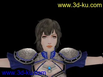 3D打印模型ps3真三国无双6：猛将传@王异的图片