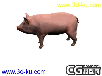 3D打印模型一只猪.的图片