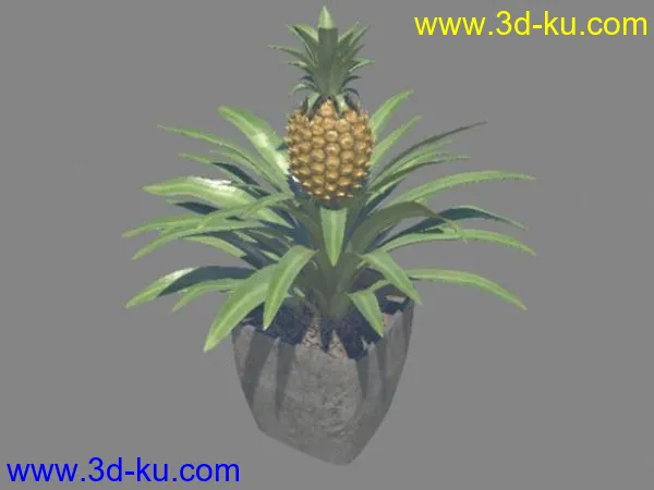 高精细菠萝盆栽（含材质贴图，通用obj格式）模型的图片1
