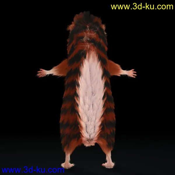 松鼠（fur）模型的图片2