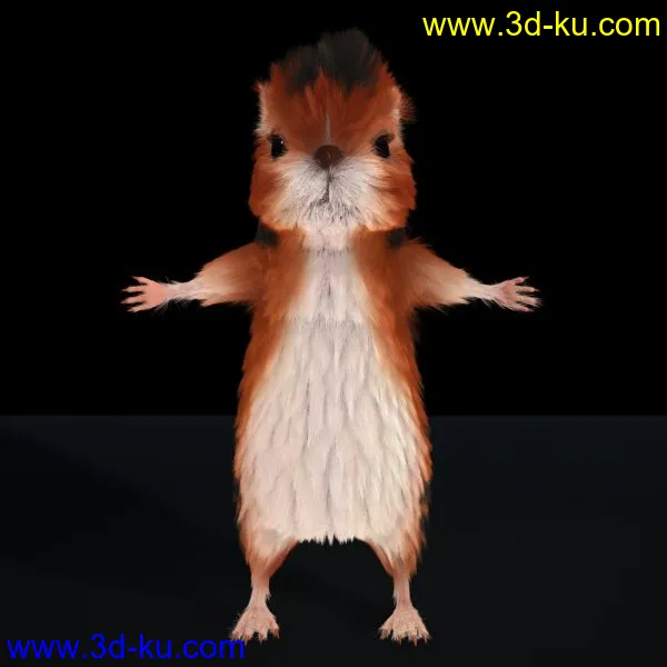 松鼠（fur）模型的图片3