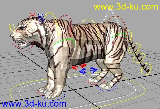 发一个老虎绑定，练练四足模型的图片1