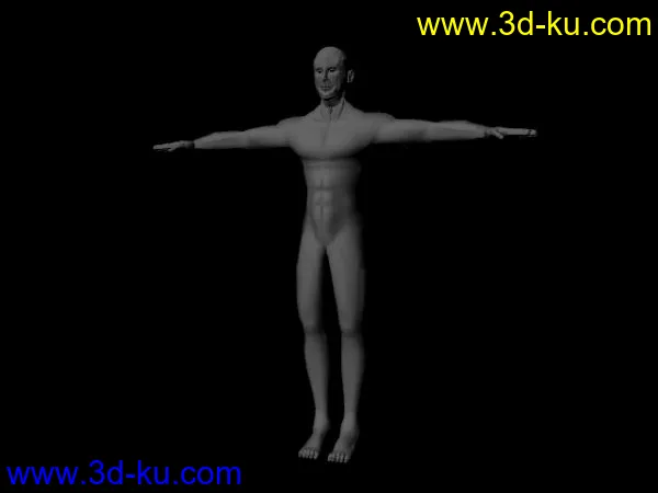 标准人体模型的图片1