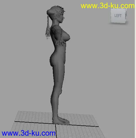 女人体模型的图片2