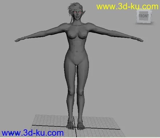 女人体模型的图片4
