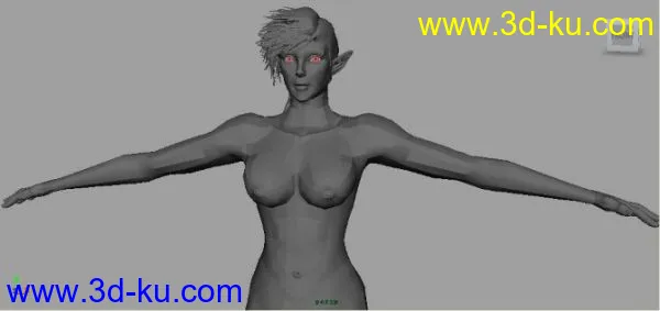 女人体模型的图片5