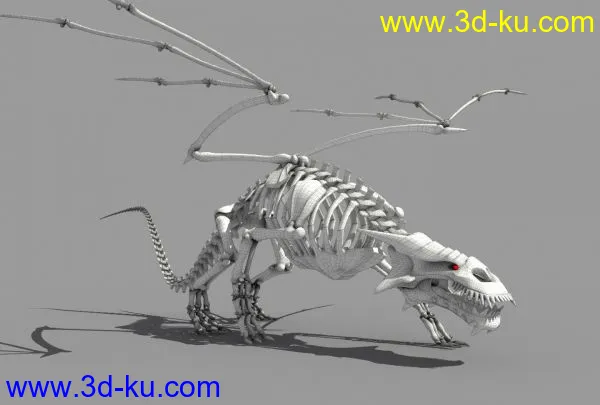 龙骨架模型的图片1