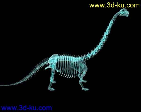 恐龙骨骼+X光材质模型的图片1