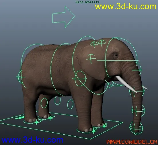 MAYA写实大象（含绑定、贴图）模型的图片1
