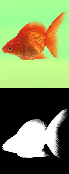 金鱼goldfish模型的图片2