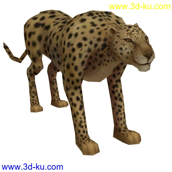 豹子模型的图片2