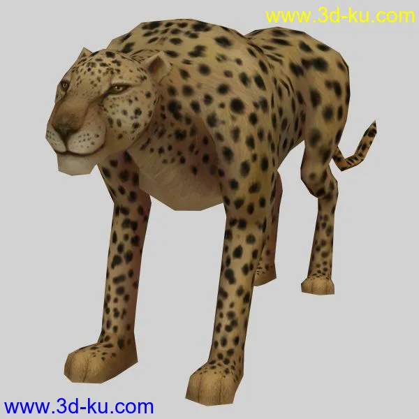 豹子模型的图片1