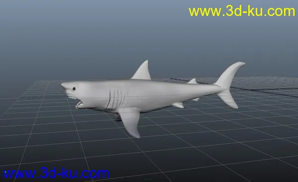 鲨鱼 精模模型的图片1