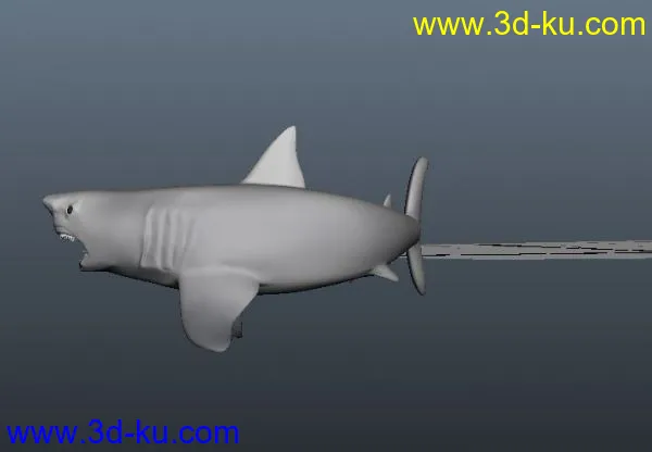 鲨鱼 精模模型的图片2